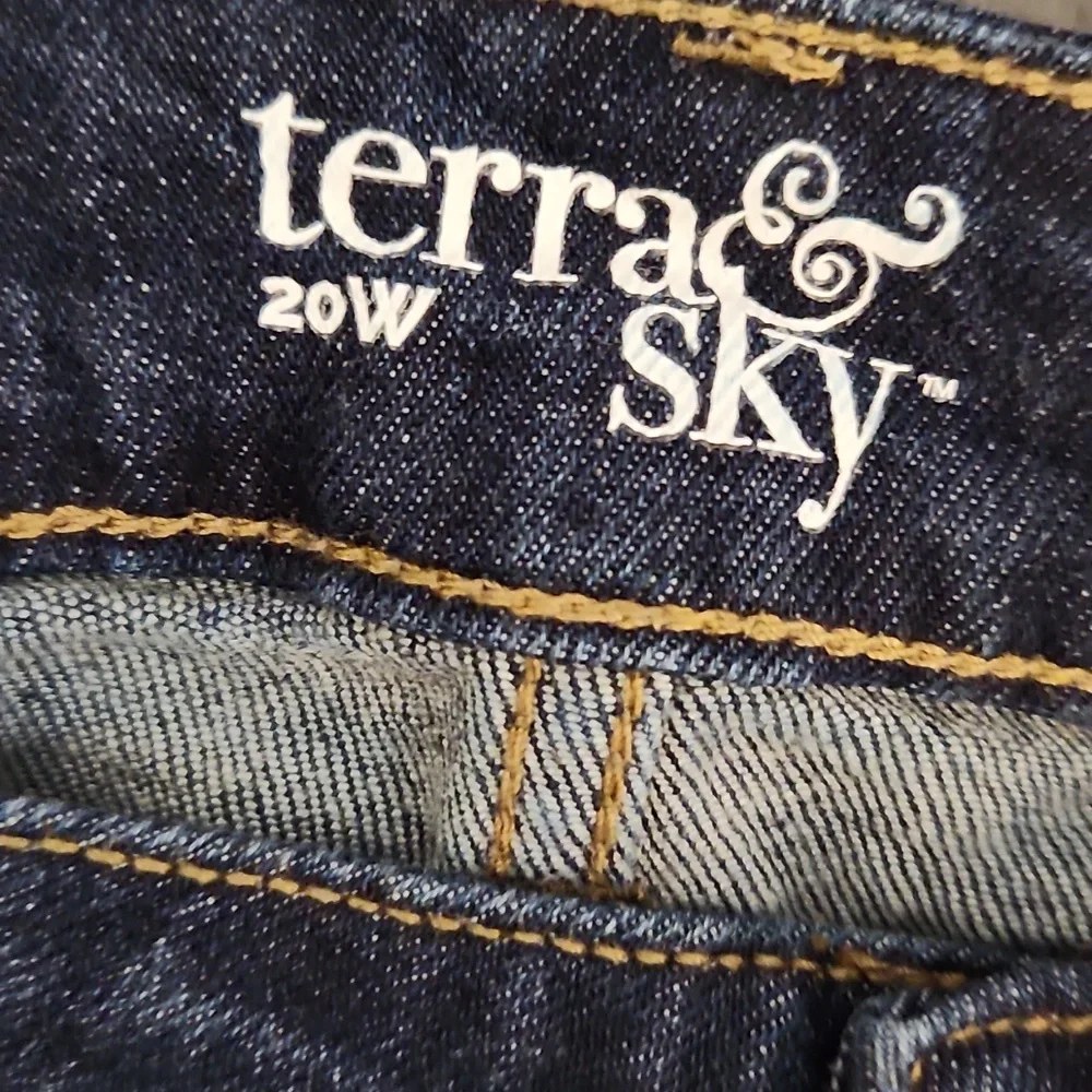 TERRA & SKY 20W DarknWash Distressed Cut Off Shorts